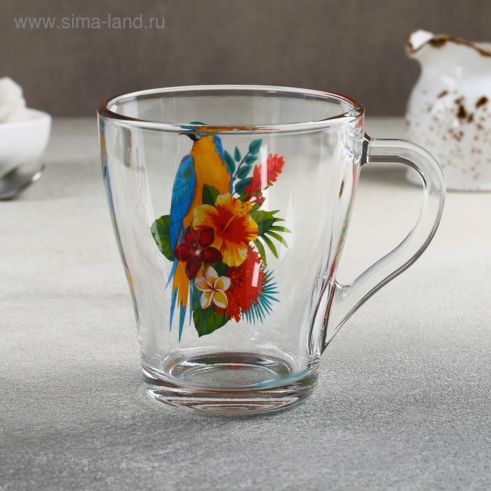 Кружка стеклянная «Тропические птицы», 250 мл, рисунок МИКС