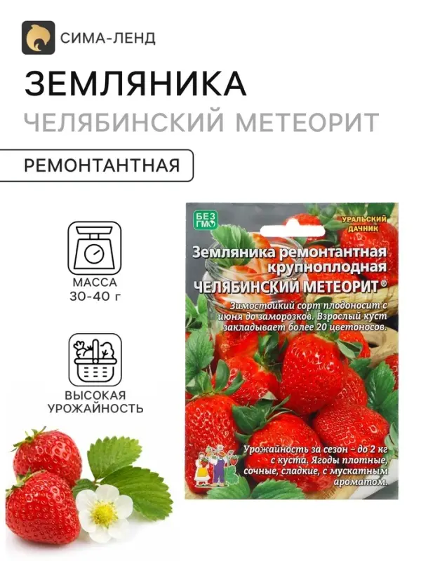 Семена Земляника «Челябинский метеорит», 10 шт., ремонтантная, крупноплодная, «Уральский дачник» Семена Земляника «Челябинский метеорит», 10 шт., ремонтантная, крупноплодная, «Уральский дачник»