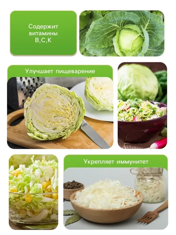 Семена Капуста белокочанная &laquo;Колобок&raquo;, 0.1 г, &laquo;Рецепты дедушки Никиты&raquo;