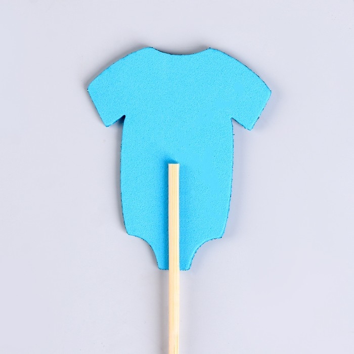 Шпажки - шампуры для канапе «Гендерная вечеринка», набор 6 штук Шпажки - шампуры для канапе «Гендерная вечеринка», набор 6 штук