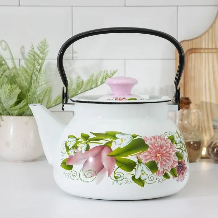 Чайник, 3 л, эмалированная сталь, рисунок МИКС, белый