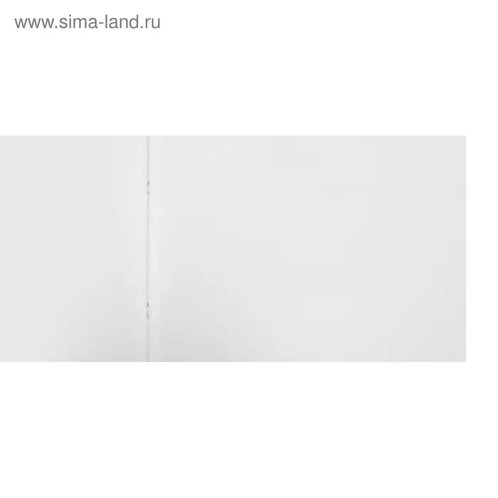 Альбом для рисования Hatber &laquo;Ассорти&raquo; А4, 48 листов, на скрепке, плотность листов 100 г/м&sup2;, обложка из мелованного картона, МИКС