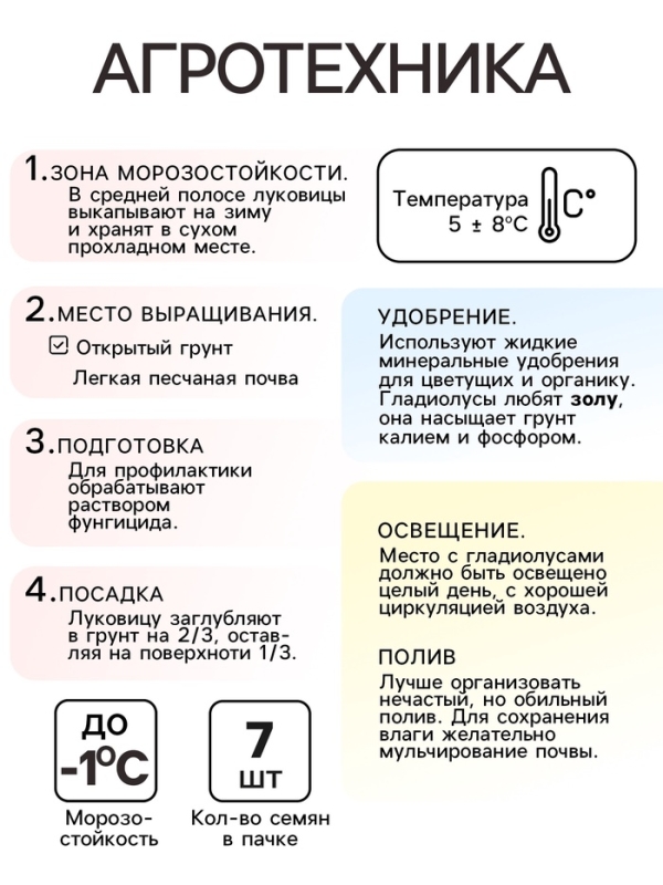 Гладиолус Низкорослый «Принц Клаус», луковица цветов в пакете с перфорацией, р-р 10+, 7 шт.