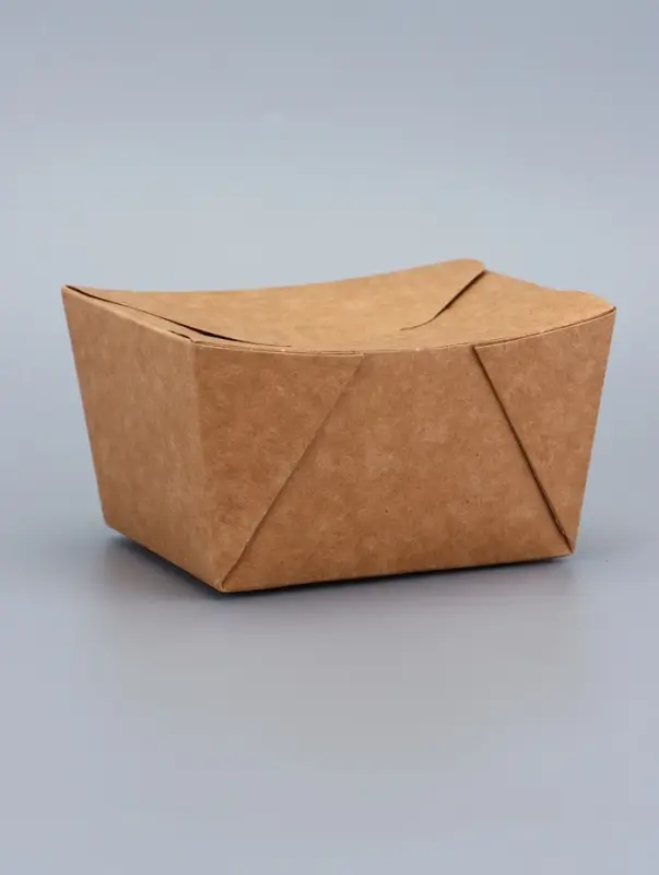 Контейнер одноразовый, коробка пищевая, для лапши, 600 мл, 11&times;9&times;7.3 см