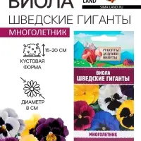 Семена цветов Виола "Шведские гиганты", 0,1 г