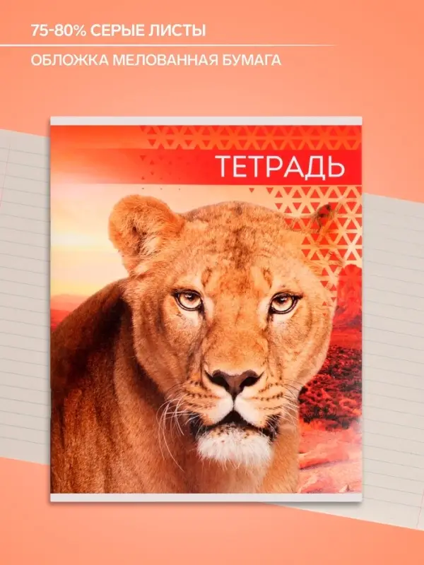 Тетрадь 48 листов в линейку, Calligrata &laquo;Дикие кошки&raquo;, МИКС
