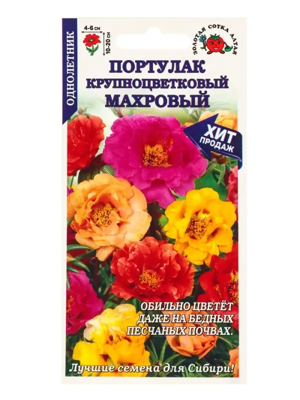 Семена Портулак Махровый крупноцветковый /Сотка/ 0,1г/ смесь h-20см, d-6см/*1500 Семена Портулак Махровый крупноцветковый /Сотка/ 0,1г/ смесь h-20см, d-6см/*1500