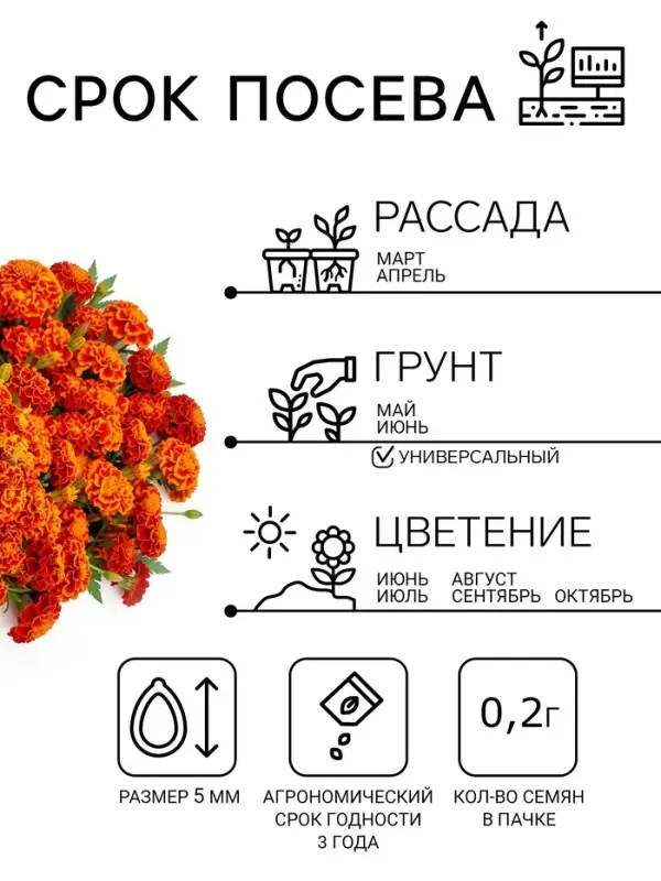 Семена Цветов Бархатцы &laquo;Имеретинский шафран&raquo;, отклоненные, ц/п, 0.2 г