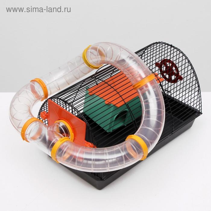 Клетка для грызунов Клетка для грызунов "Саквояж", малая, с лабиринтом, 40 х 25 х 21 см, микс цветов