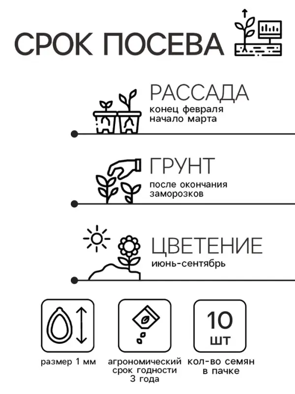 Семена цветов Катарантус Пацифика   Семена цветов Катарантус Пацифика  "Полька Дот" 10 шт