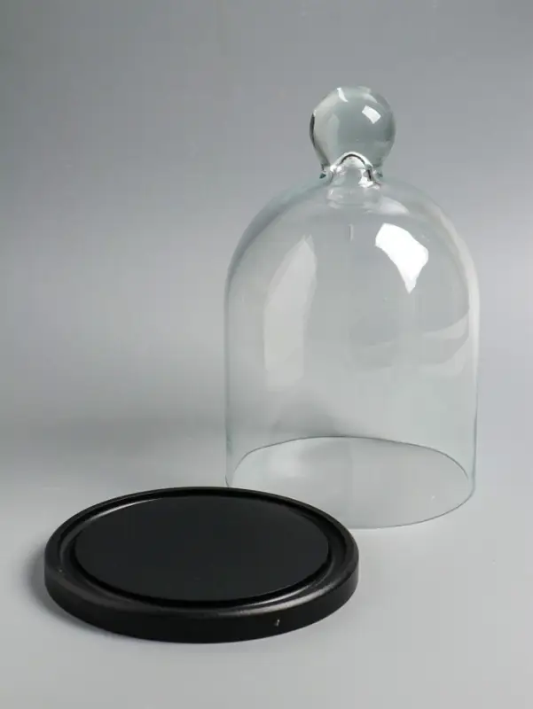 Стеклянный купол-клош на деревянной подставке 17х25 см, чёрный