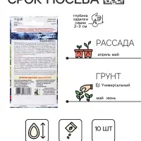 Семена Огурец "Сашенька", корнишон, F1, 10 шт