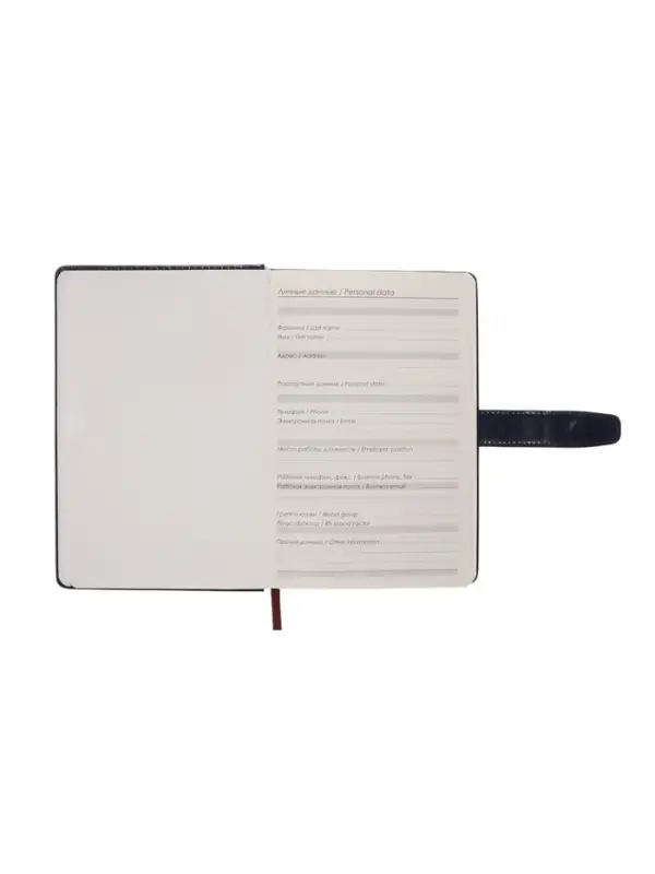 Ежедневник недатированный формат А5, с хлястиком, 128л, линия, пвх, Синий Ежедневник недатированный формат А5, с хлястиком, 128л, линия, пвх, Синий