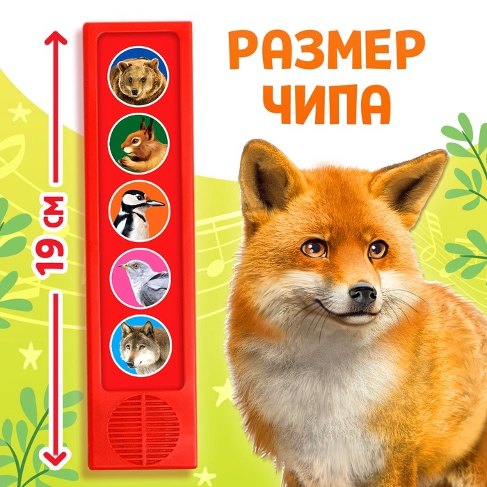 Музыкальная развивающая игрушка «Звуки леса», 5 кнопок Музыкальная развивающая игрушка «Звуки леса», 5 кнопок