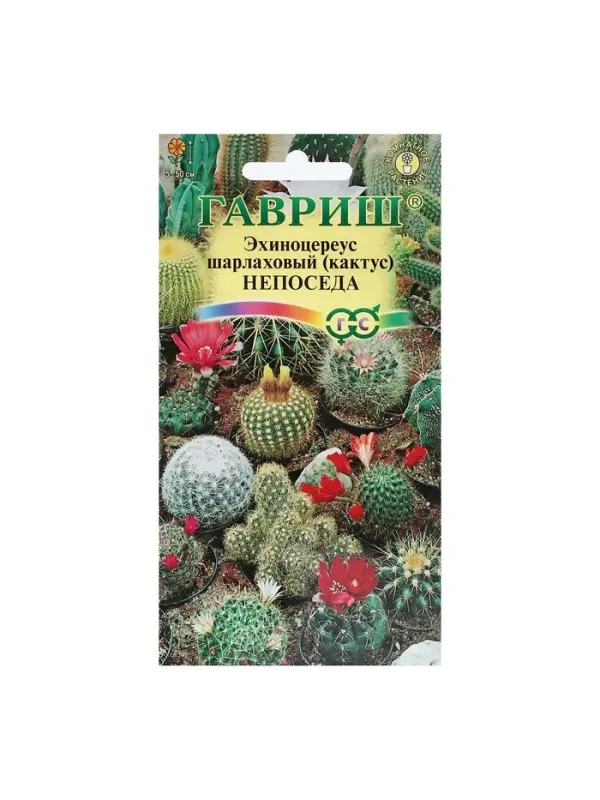 Набор семян комнатных Кактус Набор семян комнатных Кактус "Непоседа", 5 шт.