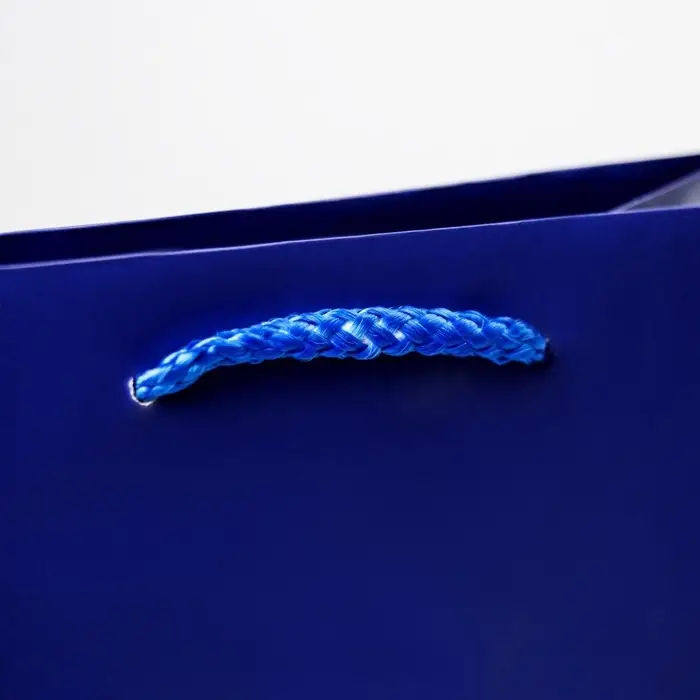 Пакет подарочный ламинированный, упаковка, «Синий», MS 18 х 23 х 8 см