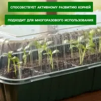 Мини - парник для рассады, 39&times;17.5&times;12 см, без вставок, тёмно-зелёный, пластик, Greengo