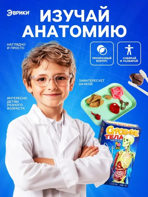Набор для опытов по анатомии &laquo;Строение тела&raquo;, светится в темноте, с мягкими органами