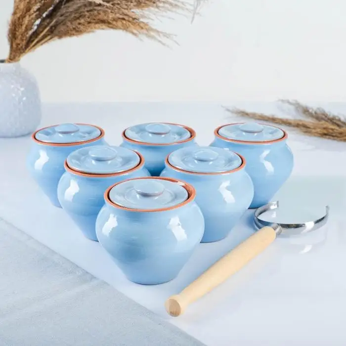 Горшочки для запекания Вятская керамика, набор 6 шт., ухват, 500 мл, МИКС