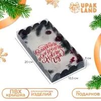 Коробка для печенья, «Сказочного Нового года!», 10.5×20×3 см, Новый год