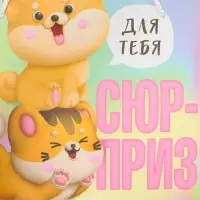 Пакет подарочный, упаковка, &laquo;Сюрприз&raquo;, 25&times;26&times;10 см