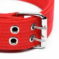 Ошейник четырехслойный, 64&times;4 см, ОШ 50-58 см, полиэстер, красный