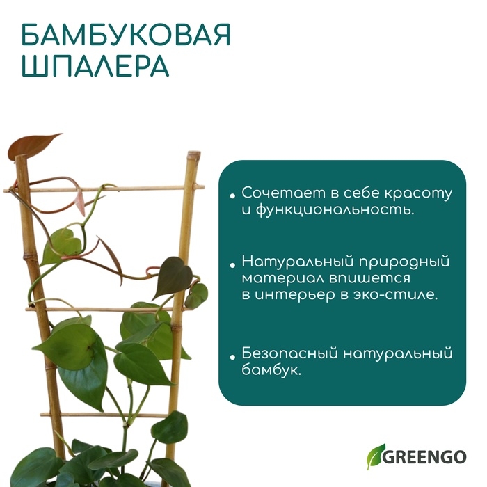 Шпалера, 60 × 20 × 1 см, бамбук, «Одинарная», Greengo Шпалера, 60 × 20 × 1 см, бамбук, «Одинарная», Greengo