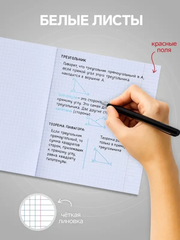 Тетрадь 48 листов в клетку, Calligrata &laquo;Яркие цветы&raquo;, МИКС