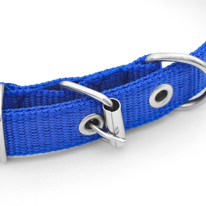 Ошейник Ошейник "Комфорт" комбинированный (полиэстер, искусств. кожа), 45 х 2 см, ОШ 30-39 см, синий