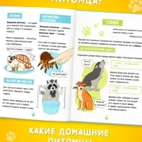 Энциклопедия в твёрдом переплёте &laquo;Домашние питомцы&raquo;, 72 стр.