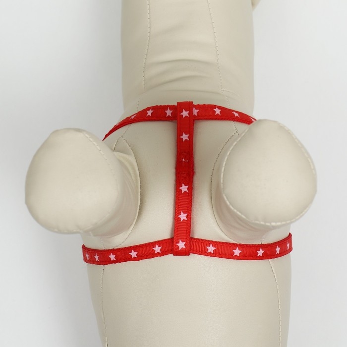 Шлейка Шлейка "Звезды", 27-42 х 1 см, красная