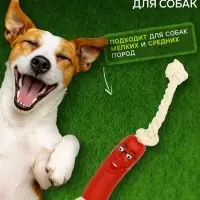 Игрушка для собак &laquo;Сосиска в очках на верёвке&raquo;, 14 см, винил, красная
