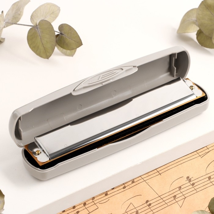 Губная гармошка Music Life T2401 тремоло, с футляром Губная гармошка Music Life T2401 тремоло, с футляром