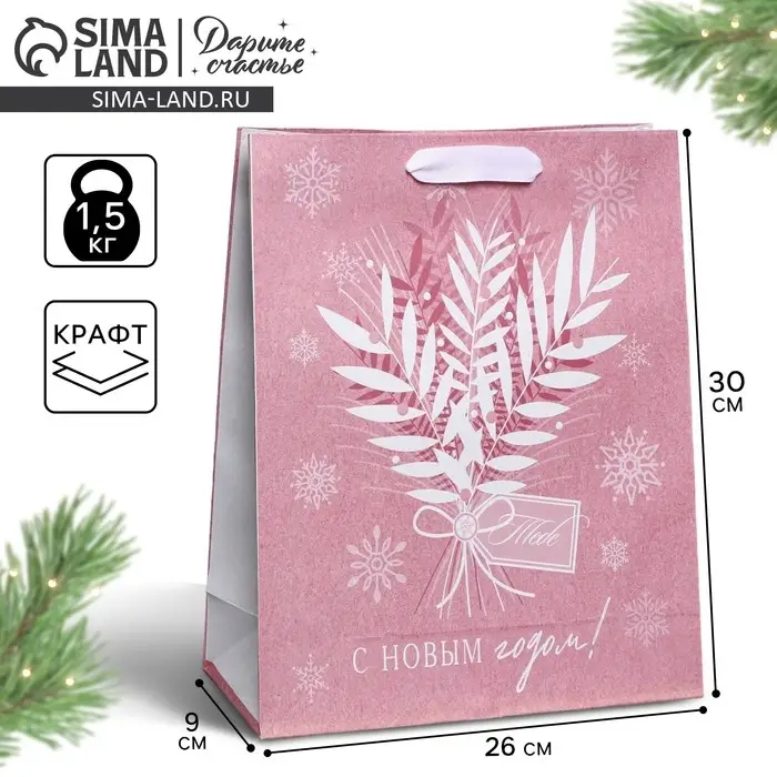 Пакет подарочный новогодний крафтовый «Тебе», M 26 х 30 х 9 см Пакет подарочный новогодний крафтовый «Тебе», M 26 х 30 х 9 см