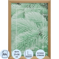 Рамка 21х30см деревянная, профиль №1, цвет 'золото