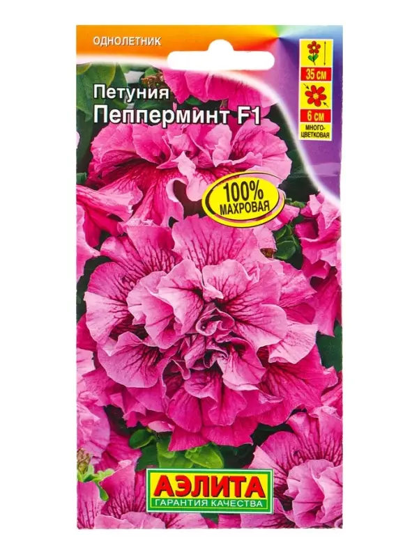 Семена цветов Петуния Пепперминт F1 многоцветковая махровая (драже в пробирке), Ц/П,5 шт. Семена цветов Петуния Пепперминт F1 многоцветковая махровая (драже в пробирке), Ц/П,5 шт.