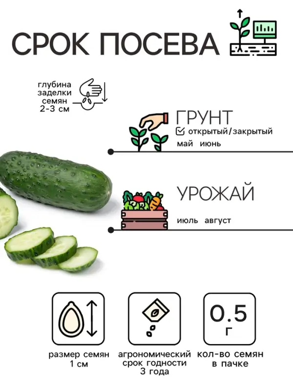 Семена Огурец "Кустовой", 0,5 г