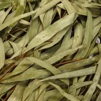 Веник для бани, эвкалиптовый, в пакете, &laquo;Добропаровъ&raquo;