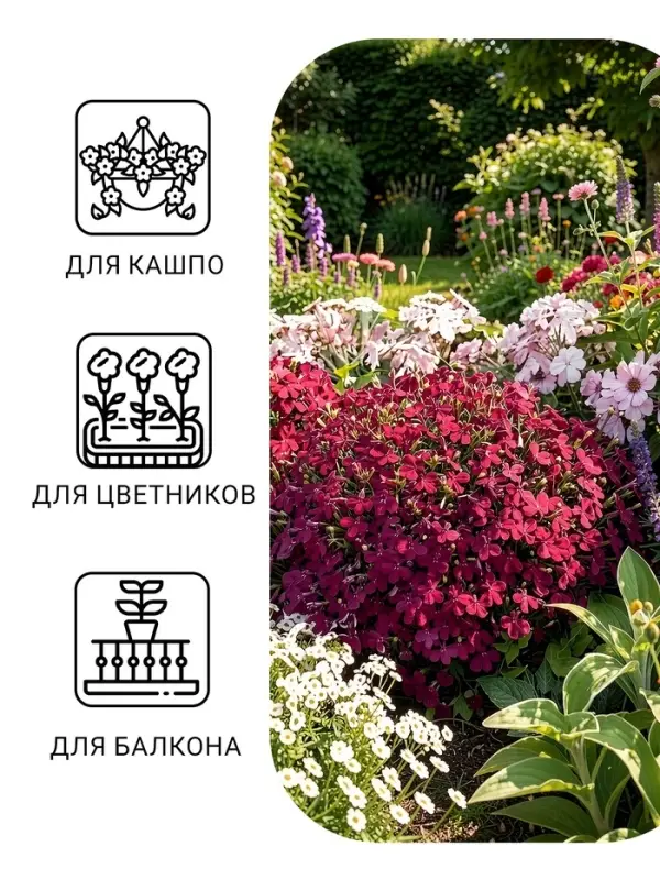 Семена цветов Лобелия &laquo;Император Вильям&raquo;, 0.05 г, однолетник, &laquo;Аэлита&raquo;