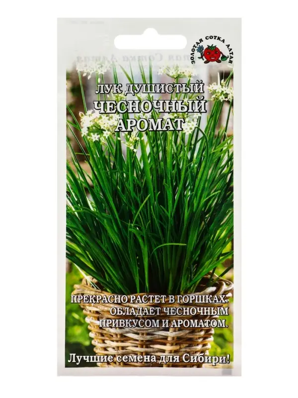 Семена Лук Душистый Чесночный аромат /Сотка/ 0,3г/среднесп. 35-50см /*1000 Семена Лук Душистый Чесночный аромат /Сотка/ 0,3г/среднесп. 35-50см /*1000