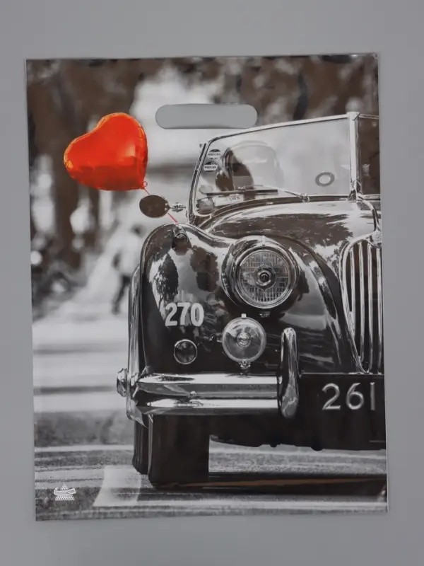 Пакет подарочный Раритет  40 х 31 см 60 мкм