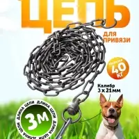 Цепь для привязи собак, 3 м, калибр 3&times;21 мм, черная