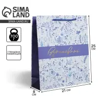 Пакет подарочный ламинированный, упаковка, &laquo;Вдохновляй&raquo;, ML 21 х 25 х 8 см