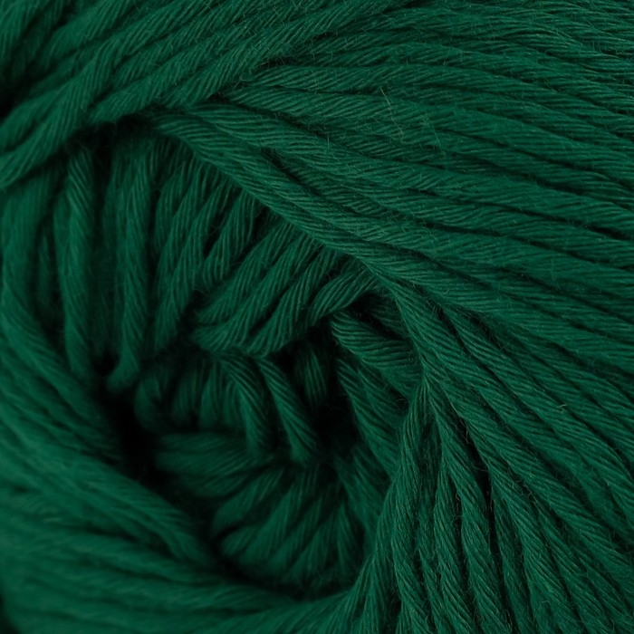 Пряжа Пряжа "Bouquet Unicolor" 100% хлопок 200м/100г (3221 зелень тёмная)