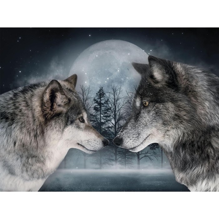 Алмазная мозаика с полным заполнением на холсте «Волки», 30 х 40 см Алмазная мозаика с полным заполнением на холсте «Волки», 30 х 40 см