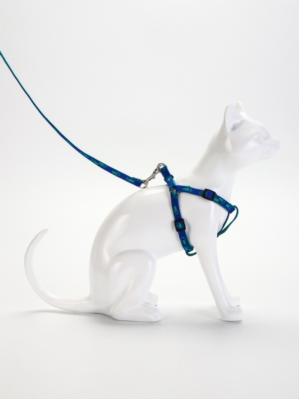 Комплект Комплект "Большая лапа", ширина 1 см, поводок 120 см, шлейка 25-36 см, сине-зелёный