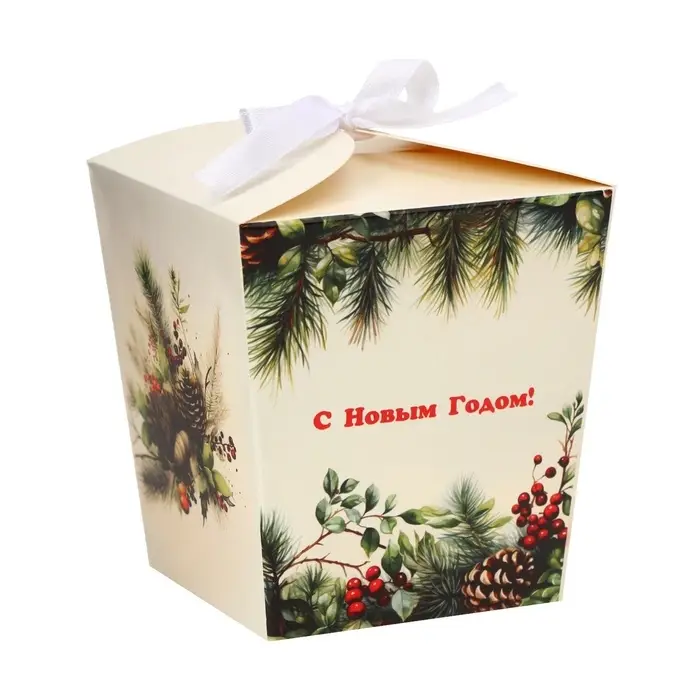 Бонбоньерка, новогодняя подарочная упаковка «Зимние шишки», 7.5×8×7.5 см Бонбоньерка, новогодняя подарочная упаковка «Зимние шишки», 7.5×8×7.5 см