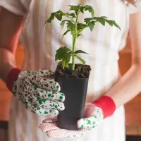 Горшок для рассады, 600 мл, 8&times;8&times;15 см, пластик, МИКС, Greengo