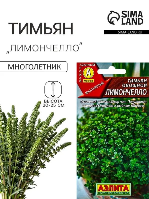 Семена Тимьян овощной &laquo;Лимончелло&raquo;, 0.2 г, &laquo;АЭЛИТА&raquo;