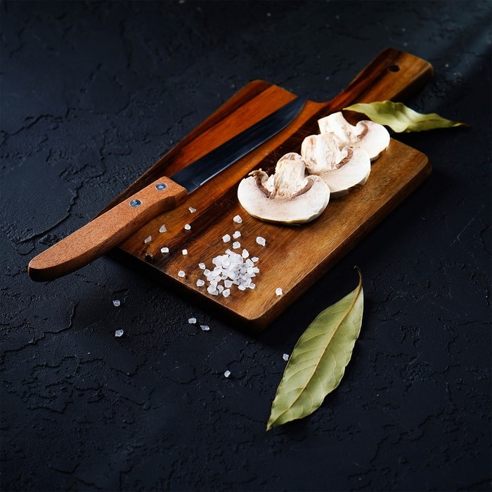 Нож кухонный Доляна «Эльбрус», лезвие 11,5 см Нож кухонный Доляна «Эльбрус», лезвие 11,5 см